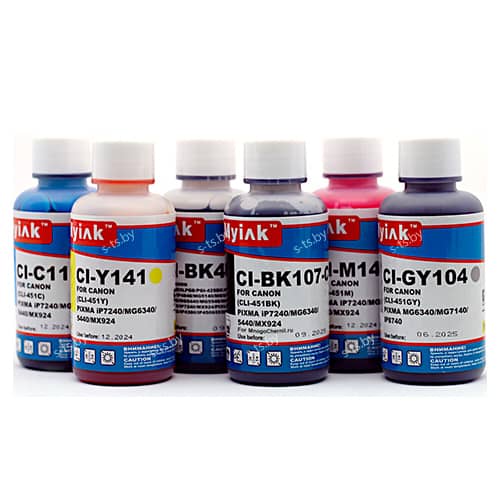 Комплект премиум-чернил MyInk для Canon PG-450/ CLI-451 (6х100мл)